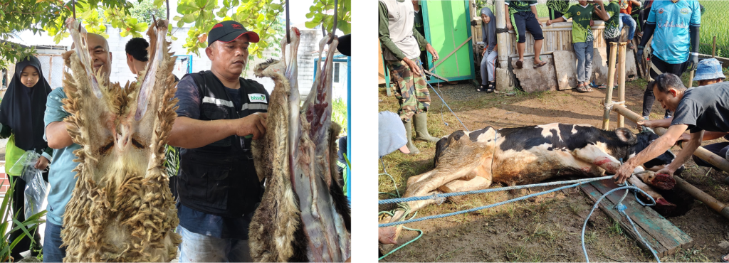 qurban
